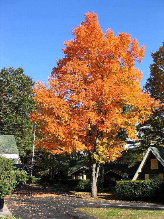 Amber Lantern Two-Bedroom Cottage Lake George Room photo